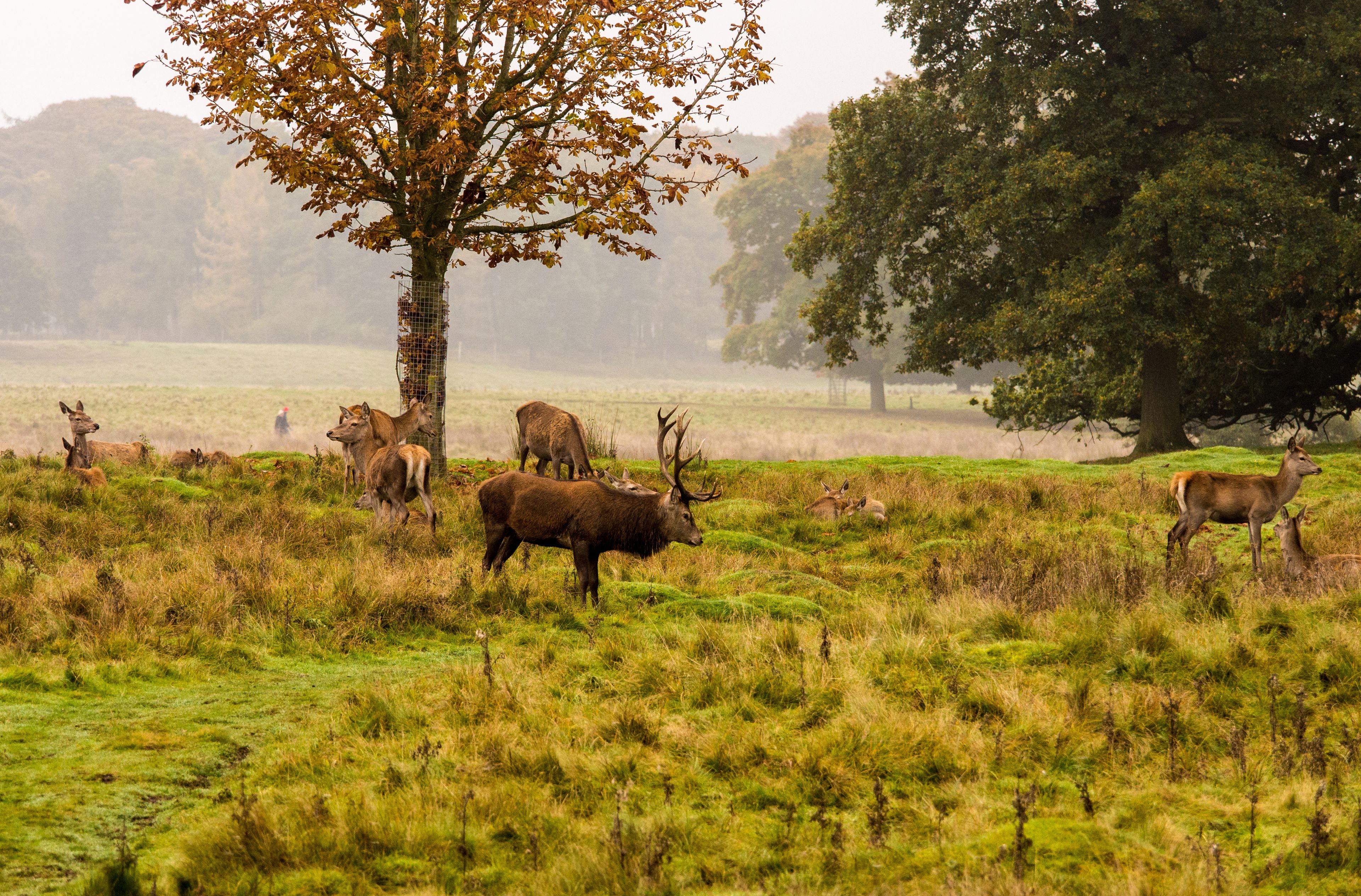 Explore Cheshire